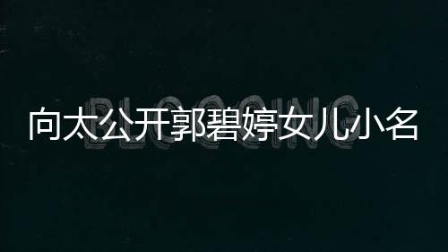 儿小向太媳妇名 买豪宅奖婷女励儿公开郭碧亲证
