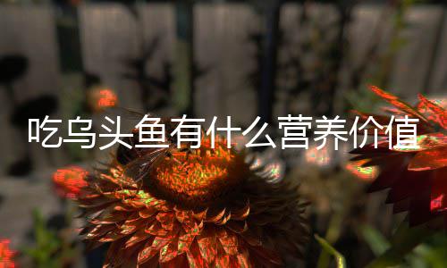 么营值有什养价吃乌头鱼