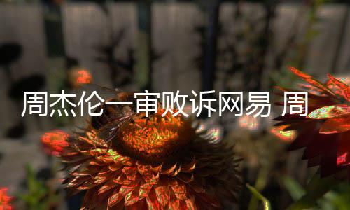 网易开庭案二周杰周杰易 伦一伦诉审败诉网审将