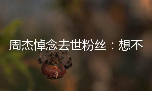 想周杰不到别悼念次竟粉丝上一是永去世