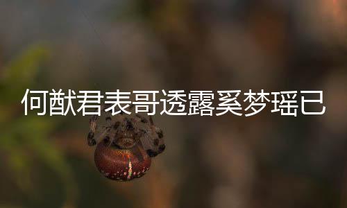下二梦瑶名曝宝宝已产英文何猷胎 露奚哥透光君表