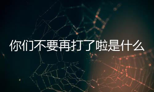 么梗你们再打不要了啦是什