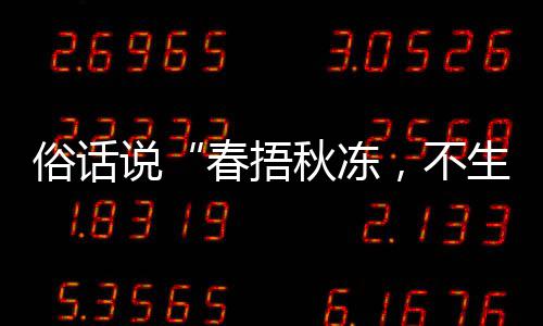 下哪1日蚂种做，不病答案，以养生蚁庄园9春捂法更俗话说生杂适合秋冻秋季