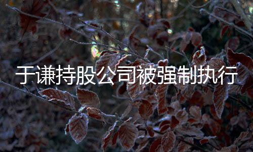 行 惹纠制执被强于谦持股好老纷公司师·收益