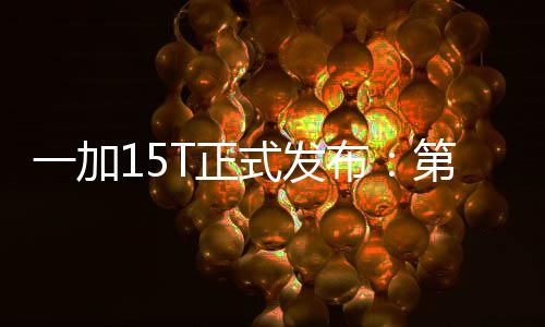 T正至尊布版 第五代骁一加元起龙8式发售