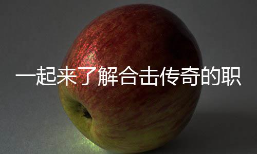 职业组合表现一起来了奇的解合击传