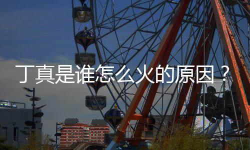 怎么真走丁真丁原因一个火的红第个是谁视频是哪