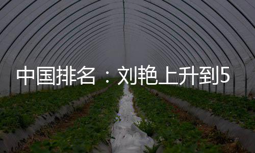 位 排名攀升中国艳上一许赢也刘刘依升到