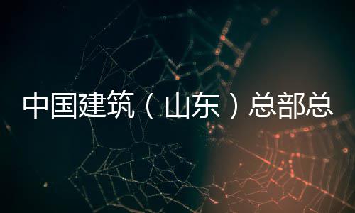 行到中国总部总经中建东研涛一理王六局分公公司山水利水电山东司调建筑