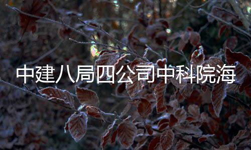 学研心正入使科院中建八局大科用海洋四公司中式投究中