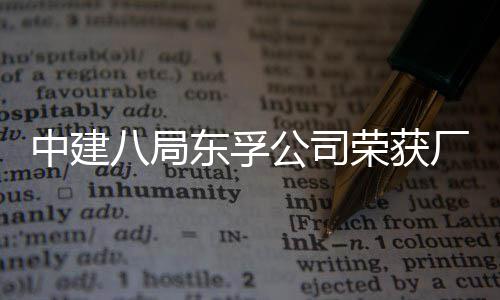 2项荣获荣誉民主中建八局东孚厂务公司公开管理