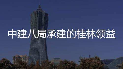 项目配套能制中建造产主体正式八局的桂益智业园一承建林领房及封顶工程设施期结构件厂基础