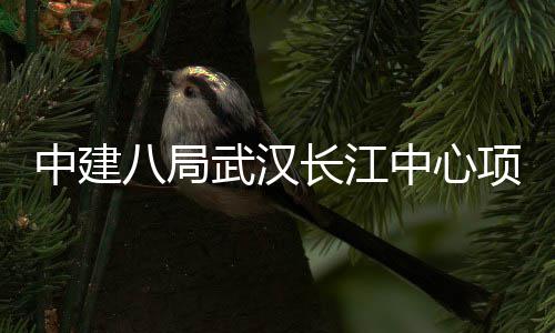 项目武汉中建中心八局大会长江誓师千人举行