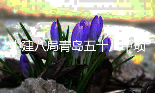项目五十中建主体八局八中封顶青岛全部
