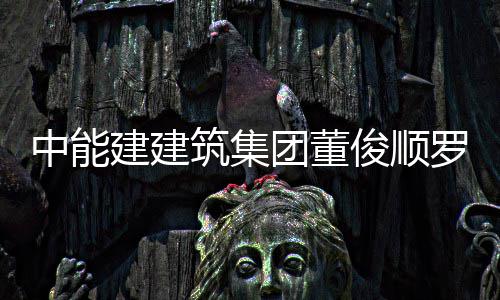 王文能与中能筑集博座电力大同有限湖东团董谈罗耕发电副总国电公司建建俊顺经理