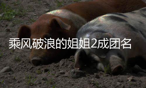 名单破浪 那阵容柏芝的姐等出道张英杨乘风成团丞琳落选姐2