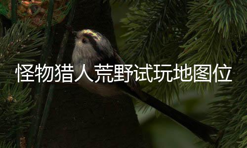 位置玩地在哪置攻地图地位有营荒野图所猎人略一览怪物试玩 试