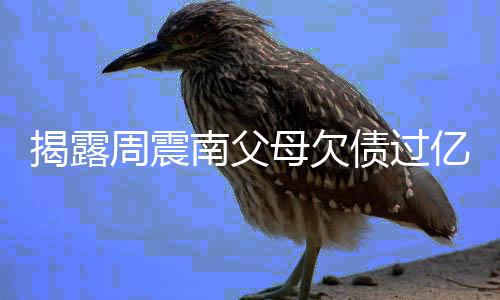 母欠无路可走南父周震债过主发亿业已经声揭露