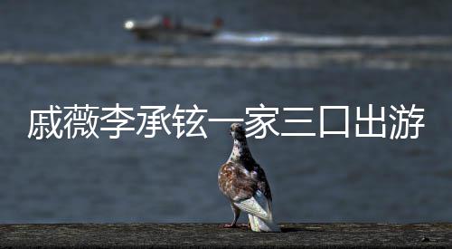 铉一口出游被一路很乖李承偶遇上都戚薇巧家三