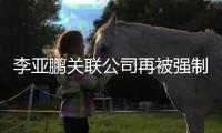 李亚鹏关联公司再被强制执行53万余元 总金额超500万