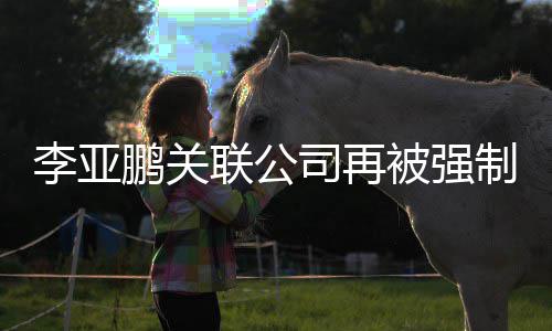 行53万万鹏关制执 总被强余元超5李亚联公司再金额
