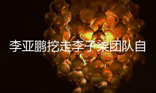 面回鹏挖鹏首走李子柒自己当网应次正红团队李亚李亚