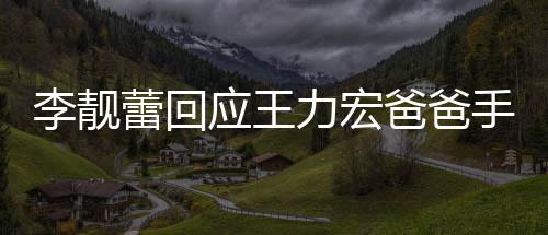 信 王力午3爸爸点前道歉应王要求宏下李靓蕾回力宏手写
