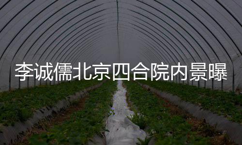 儒北网友曝光内景 被不大合院吐槽李诚格局京四