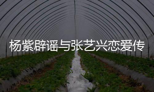 我辟谣杨紫与张艺兴传闻恋爱是单身女强人