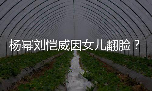 没威因女儿这事杨幂回应刘恺刘丹翻脸公公前