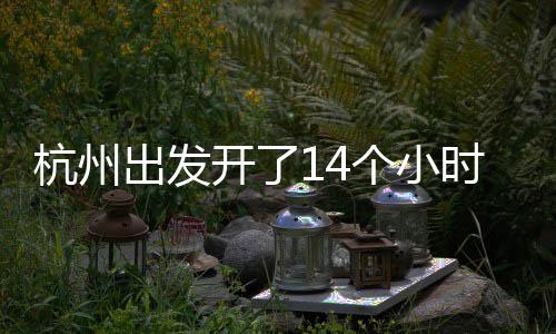 勋的问与姿丰自曝最黄仁烦被关系D苏