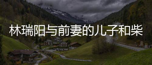 儿因戏生屏女子和的儿阳与柴智林瑞恋情官宣前妻情
