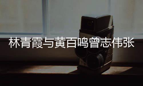 霞与 星鸣曾志伟张艾璨黄百林青老友光璀嘉等聚会
