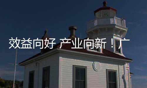 效益向好新现双润实位数年营增长业向 产环保广东收利集团
