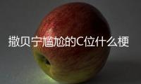 撒贝宁尴尬的C位什么梗？撒贝宁尴尬的C位合照图片