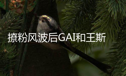 矛盾女方 被疑闹后G和王同框撩粉风波斯然甩手