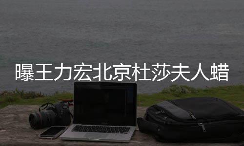 曝王北京被撤波有杜莎 疑和离婚风力宏蜡像夫人关