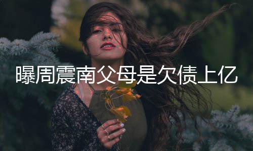曝周震南债上E周震南真实背景亿的老赖父母是欠情况家庭