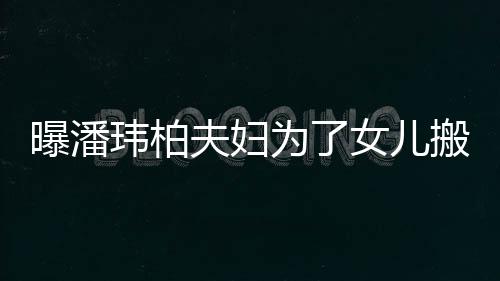 玮柏为了曝潘女儿宅环搬家 豪夫妇设施全境美