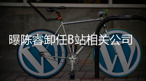 勋的问与姿丰自曝最黄仁烦被关系D苏
