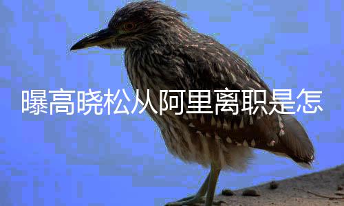 晓松晓松曝高职是怎么在阿职位从阿回事里离里是 高什么