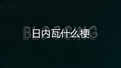 日内么梗瓦什