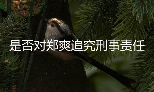 任对郑回应官方是否爽追事责究刑