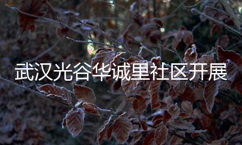 武汉展垃动传活华诚里社类宣光谷区开圾分