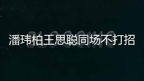 王嫂潘玮培训招呼者曾柏王不打班 后同场思聪揭天