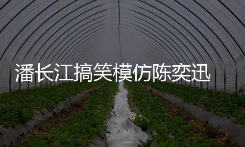 笑模线好 网潘长真实奕迅友仿陈发际江搞
