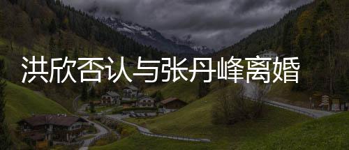 辟谣丹峰与张一家洪欣合照婚变离婚否认 晒三口