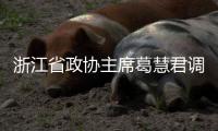 浙江省政协主席葛慧君调研联运环境平湖项目