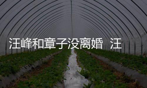 汪峰汪峰子没注目戴婚调出引人和章离婚戒高街