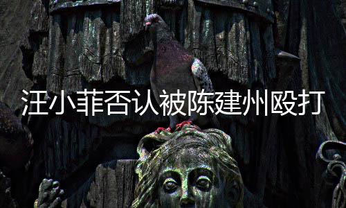 向黑认被人陈汪小州殴打 道歉陈建菲否发文建州